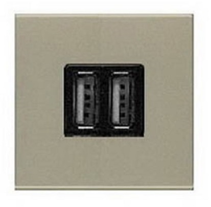 Розетка USB тип A+A без рамки ABB Niessen Zenit 1-м. 2 мод. 1500мА N2285 CV шампань фото Розетка USB тип A+A без рамки ABB Niessen Zenit 1-м. 2 мод. 1500мА N2285 CV шампань картинка
